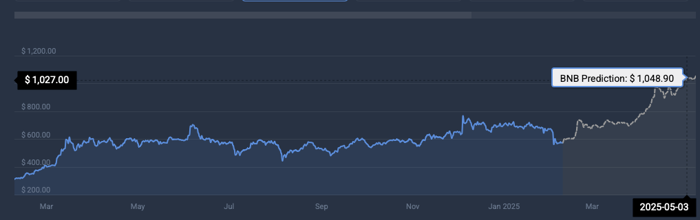 BNB cryptocurrency